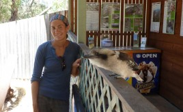 Jules and a very tame kookaburra