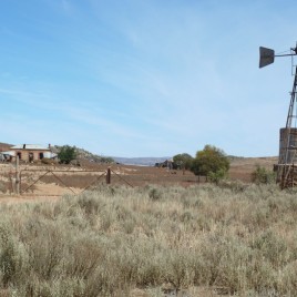 Abandoned farmland