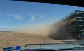 Passing a cattle truck on the Oodnadatta Track